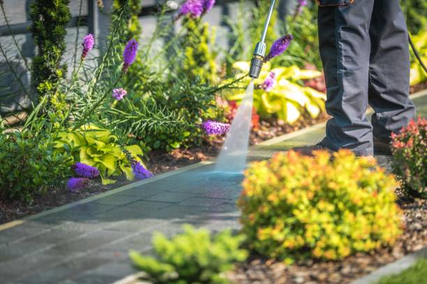 Reliable Goldstream, AK Pressure Washing Services Solutions